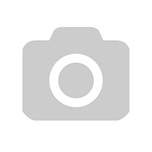 Saldo kartupeļu frī