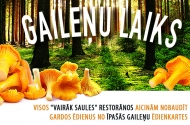Lasīt vairāk - GAILEŅU LAIKS