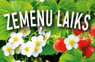 Lasīt vairāk - ZEMEŅU LAIKS 
